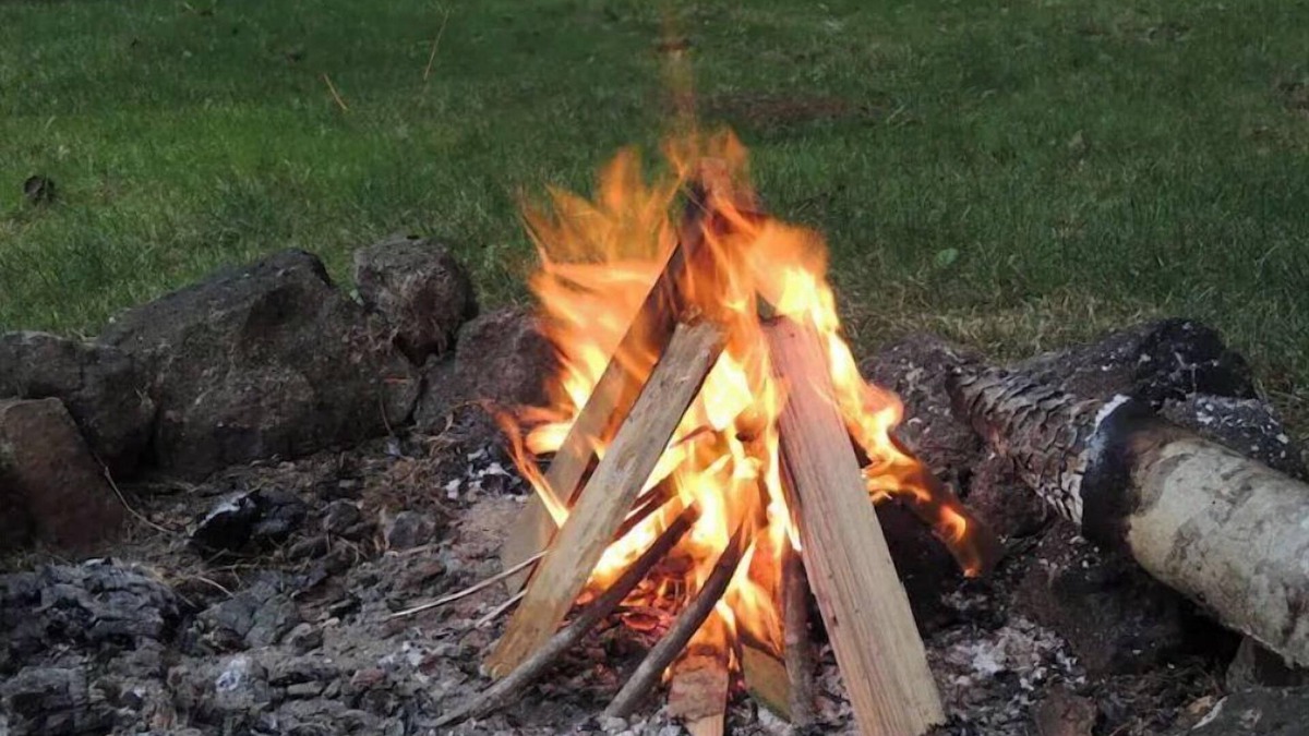 Seal Rock Cottage | RED DOOR COTTAGE