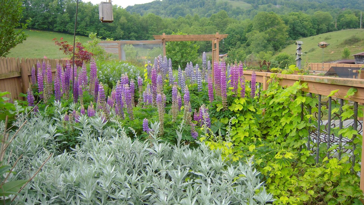 Waynesville Cabin | REDUCED! SPECIAL NIGHTLY RATE! PRIVATE IN THE COUNTRY! CENTRAL LOCATION!
