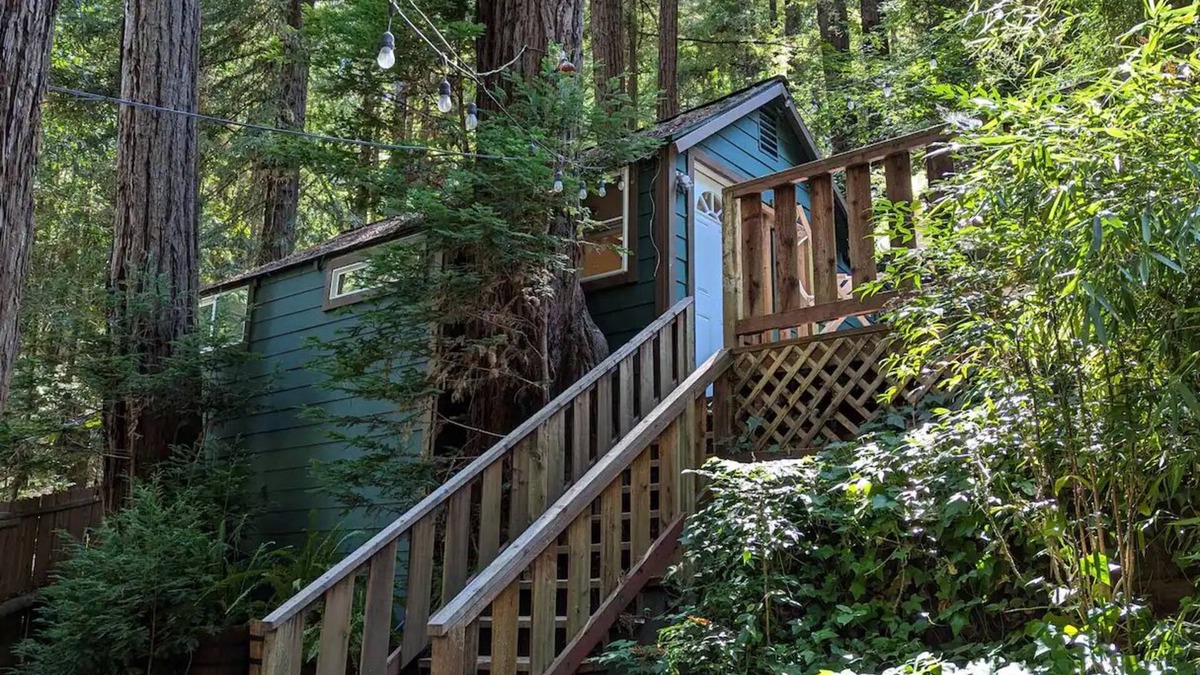 Guerneville Cottage | Redwood Treehouse-2 beds 1.5 bath-full kitchen-2 outdoor areas-work station WiFi