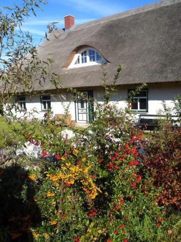 Pepelow House | Reetdachhaus am Haff