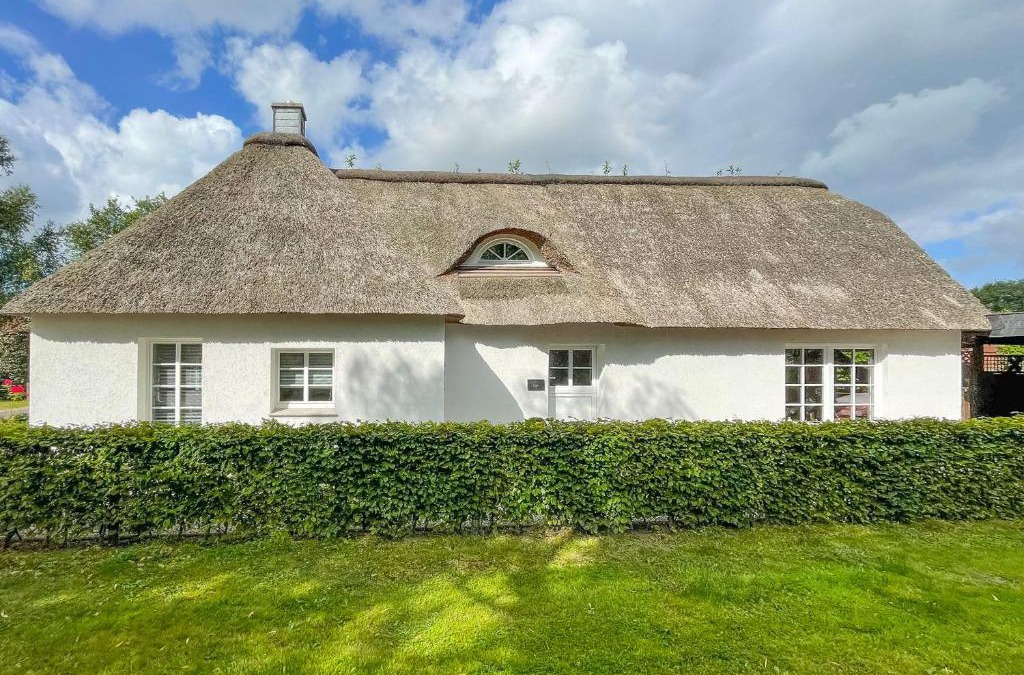 Lehe House | Reethus Rosengarten