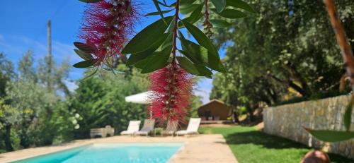 Olalhas Resort | Refúgio da Cigarra