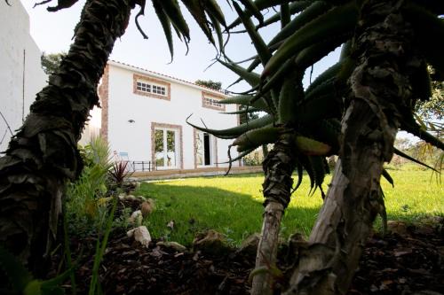 Pombal House | Refúgio das Tílias