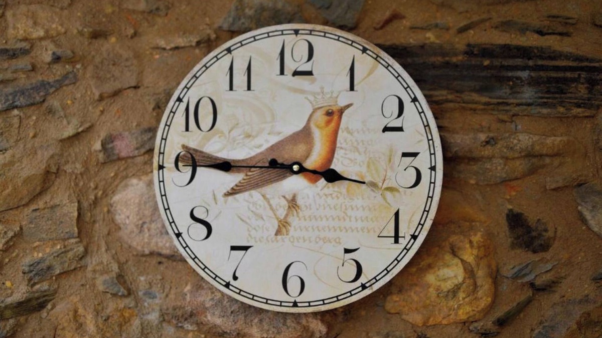 Montes da Senhora Cottage | Refúgio do Raposo - CASA Altair