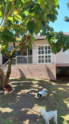 Bela Vista House | Refúgio dos pássaros