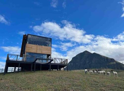 Orleans Ski Chalet | Refúgio Paraíso Casa Stellato Spa Panorâmica