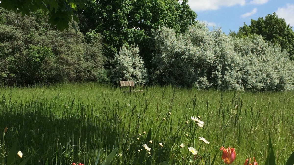 Randowtal Apartment | Refuge in the Uckermark + plenty of nature + idyll with garden sauna + stylish living