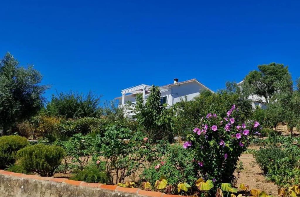 Vila de Rei House | Refugio Abrunheiro Grande