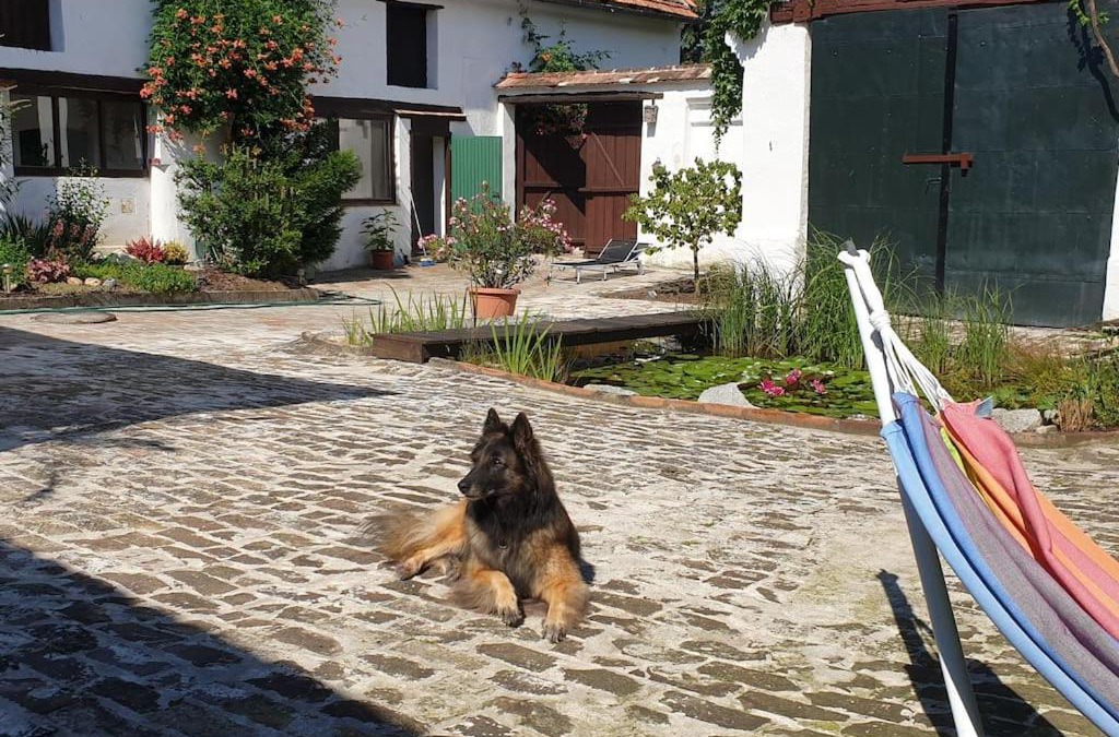 Ottenthal House | Refugium Ottenthal