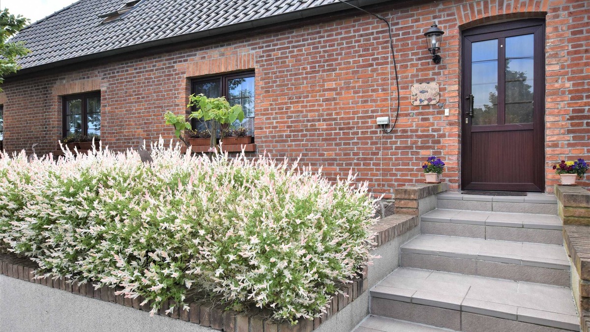 Satow Apartment | Reihenferienhaus mit Kamin und Terrasse im Ostseeland OFC 11 - 3- Raum Ferienhaus mit Terrasse und