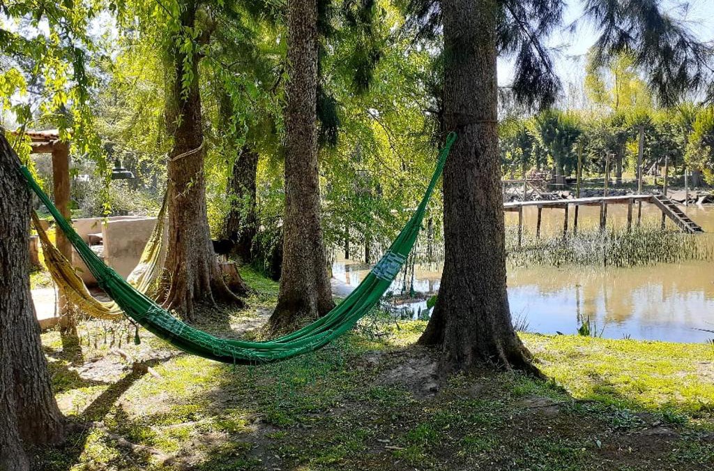 Partido de Tigre House | Reino del Reves