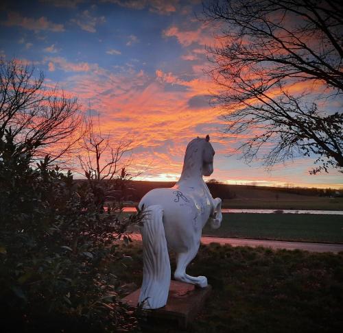 Diera-Zehren Hotel | Reiterhof Schmidt, Gaststätte & Pension