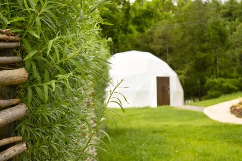 Sekowa Other | Relaksatorium Sfera Beskidu