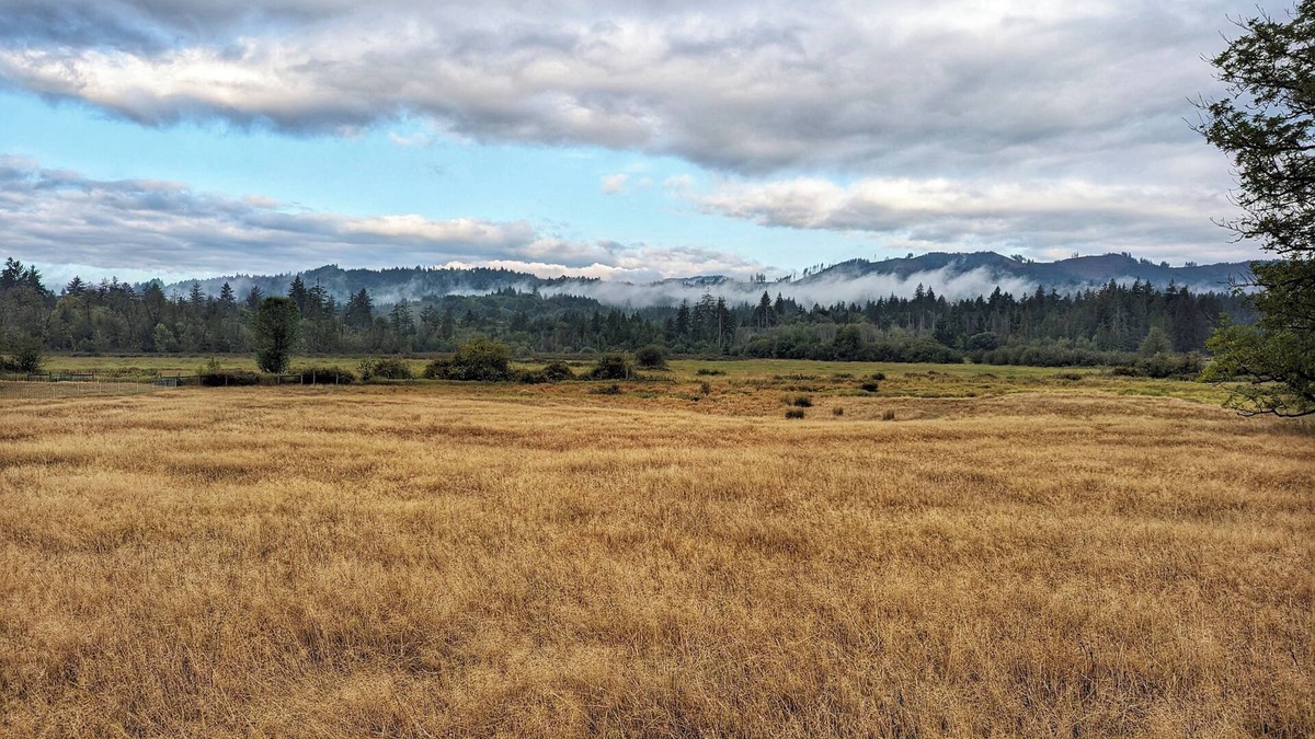 Littlerock House | Relax and recharge in a place that feels remote but it just minutes from town.