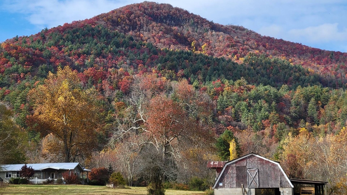 Rabun Gap Cabin | Relax at Rabun Gap Retreat!