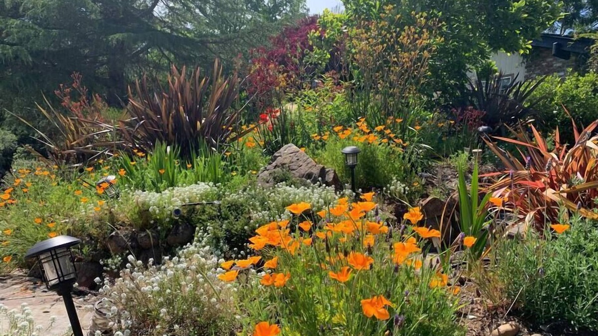Santa Cruz House | Relax in a Landscaped Paradise w/4Bdr Home, Amazing Santa Cruz Landscaped paradise