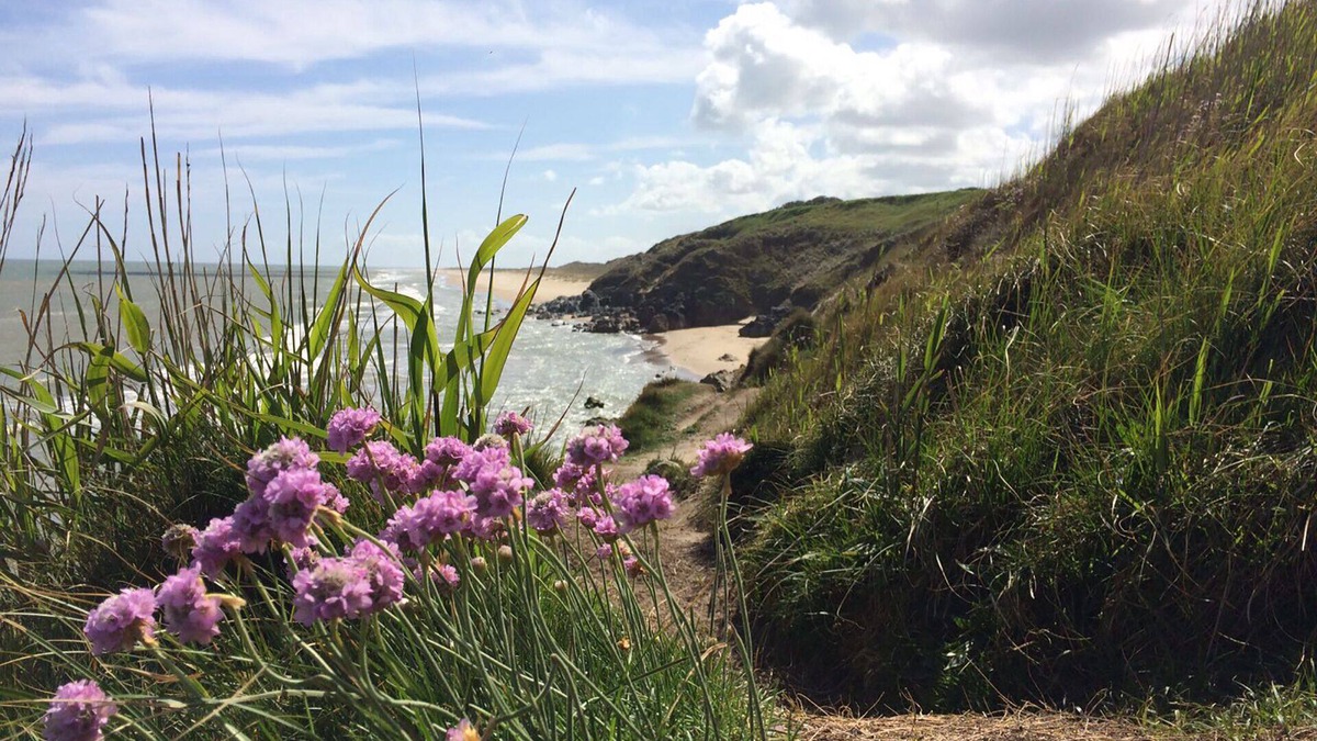 Cahore House | Relax in a luxury countryside retreat, just 5 minutes from a huge sandy beach.