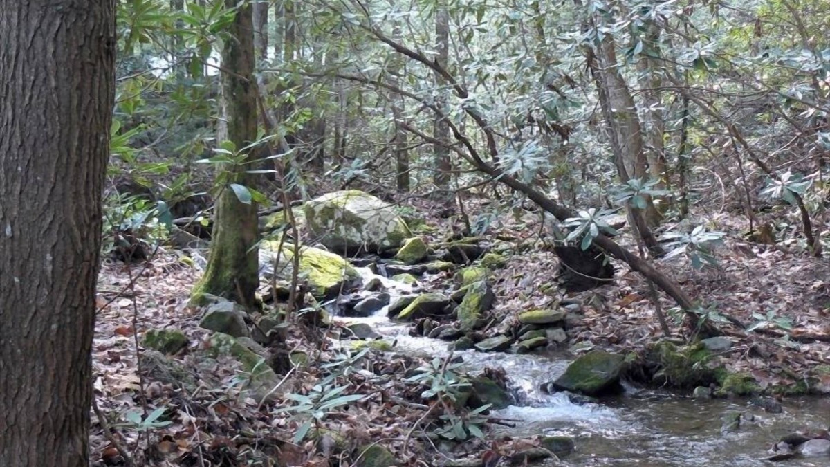 Tellico Plains Cabin | Relax in Seclusion at the 'Cozy Creekside Lodge' with Creekfront Sleeping Porch