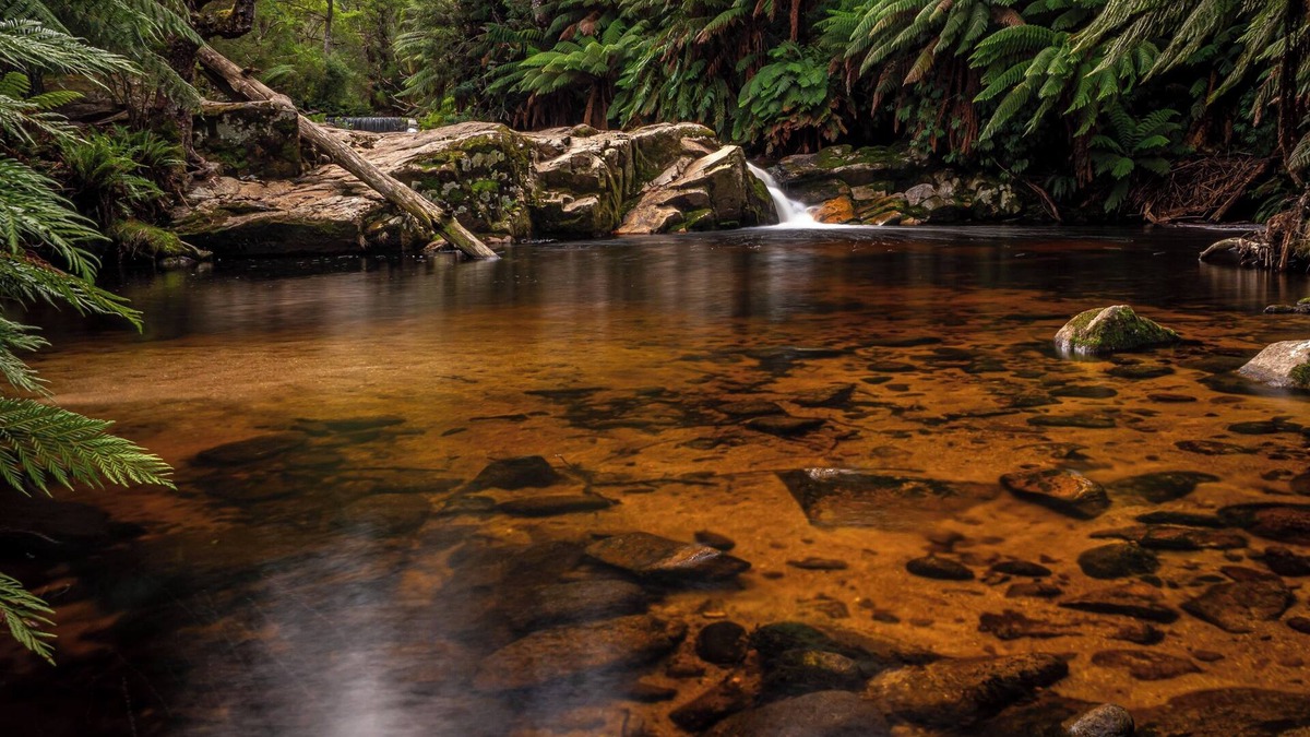 Branxholm Cottage | Relax in stunning private gardens and explore Tasmania's North East
