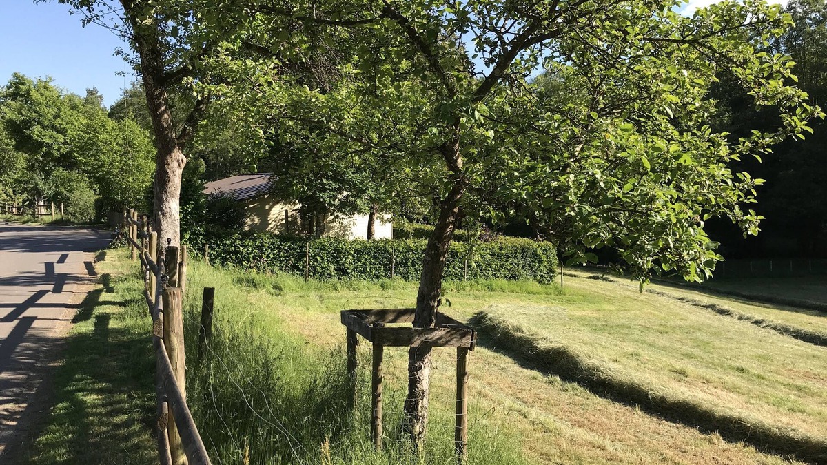 Eifel House | Relaxation and nature in the middle of the volcanic Eifel