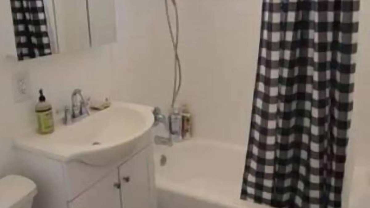 Berryessa House | Relaxing 2B/1B suite with big backyard