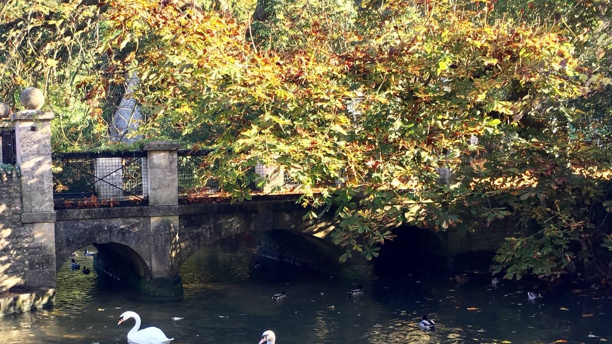 Castle Combe Cottage | Relaxing and comfortable 16th century cottage on the edge of picturesque village