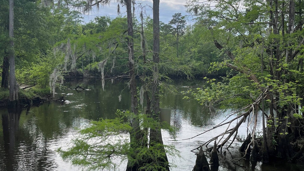 Willard Apartment | Relaxing Black River- Riverfront Retreat