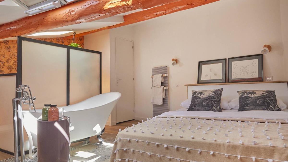Beziers City Centre Apartment | Remarkable flat in the historical part of Beziers