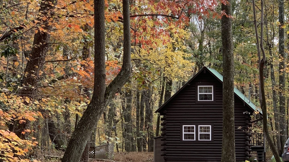 Mentone Cabin | Remodeled log cabin near DeSoto Falls & Mentone
