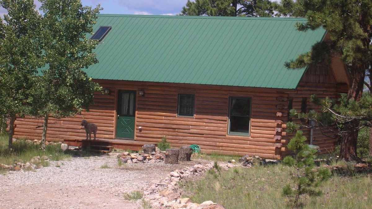 Hartsel Cabin | Remote Log Cabin Artist Retreat - comfort, serenity - spectacular views!