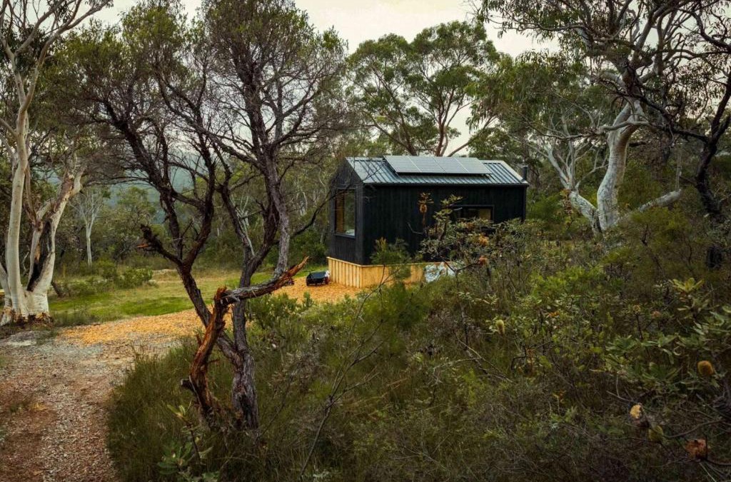 Mangrove Mountain House | Remote Off-Grid Cabin Hidden in the Bush - Fern