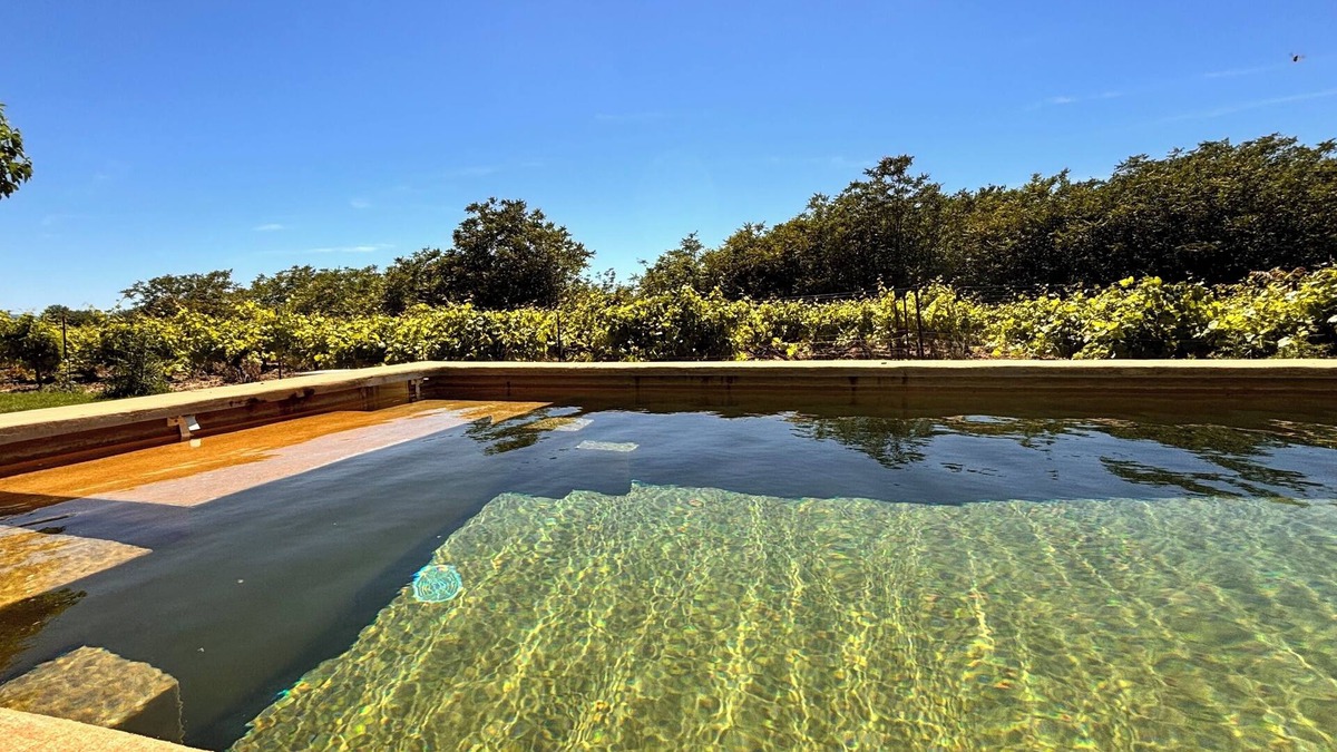 Saint-Pierre-de-Vassols Other | Renovated Mas at the Foot of Ventoux 10/12 People With Swimming Pool