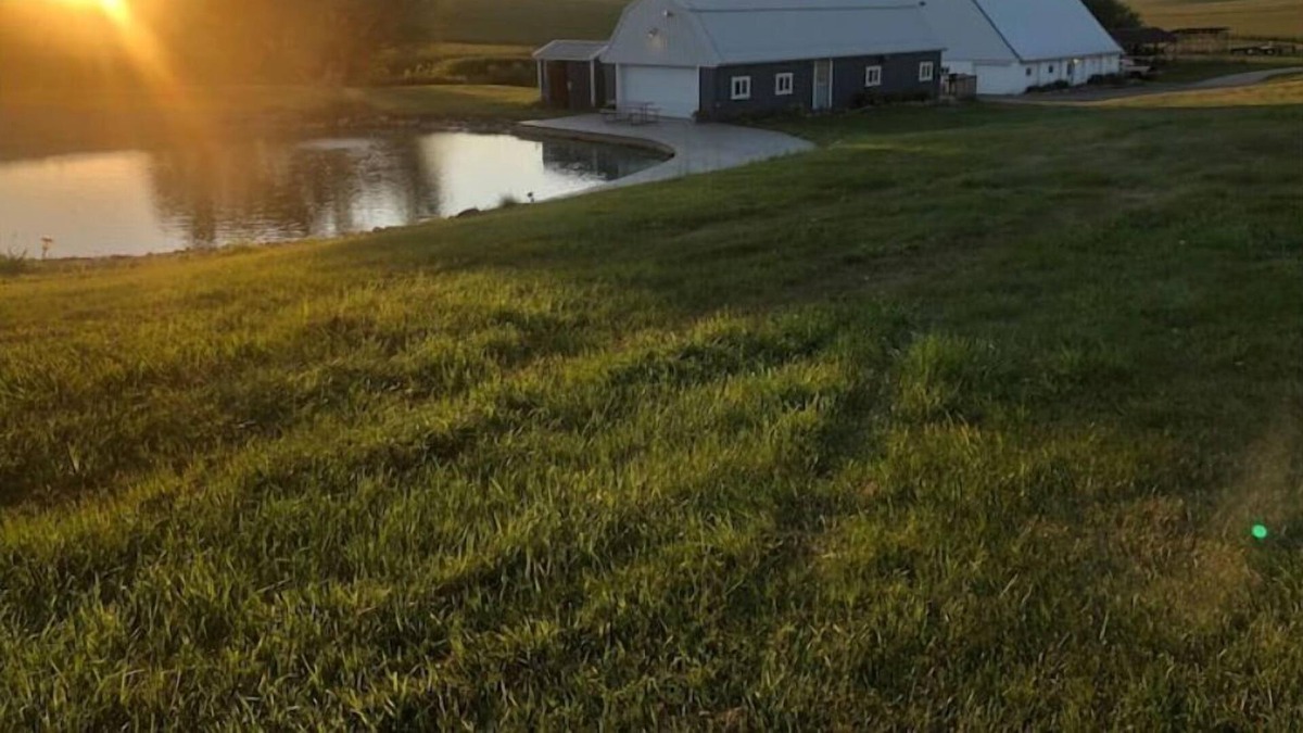 Conroy House | Renovated barn with a bar