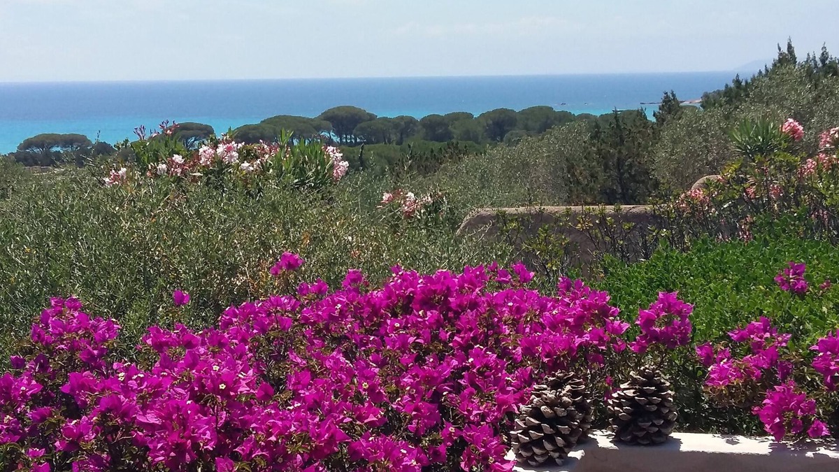 Hameau de Palombaggia House | Renovated beach housePalombaggia on foot180° sea view-protected site