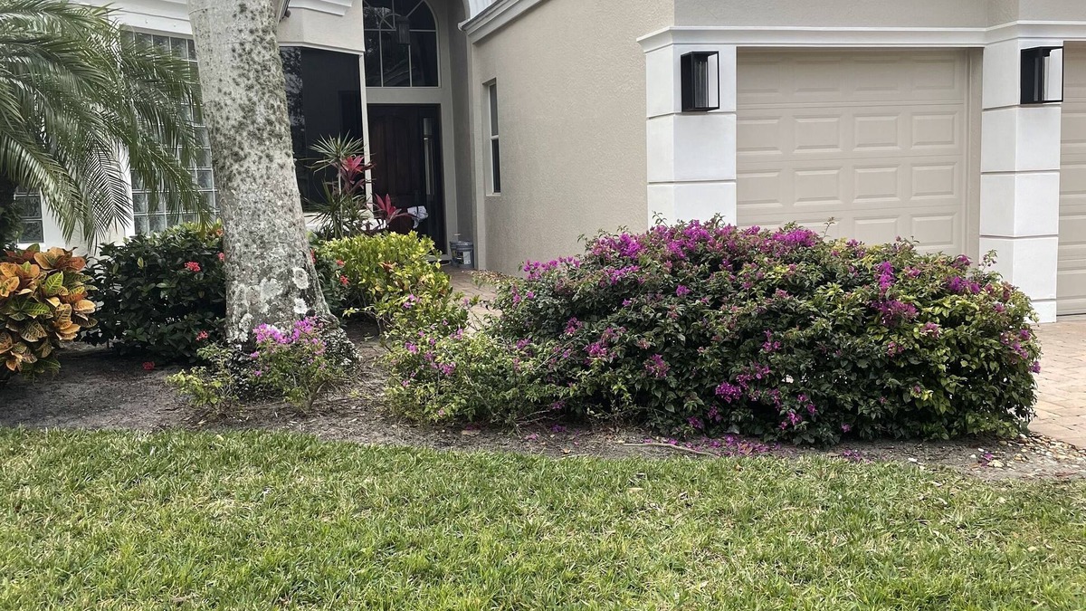Estero House | Renovated open floor plan with large heated pool and screened lanai with dining.
