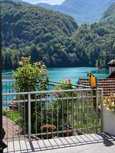 Barcis Apartment | Residence Belvedere