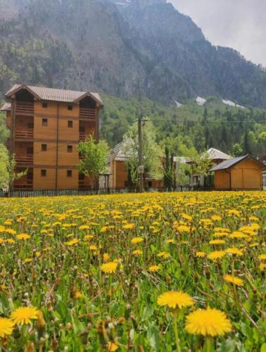 Kukes County House | Residence: Quku i Valbones