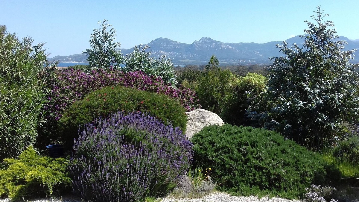 Calvi Apartment | Residential flat