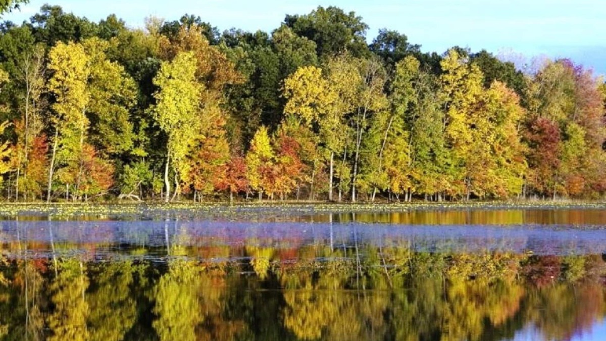 Marcellus Cabin | Rest & Relaxation