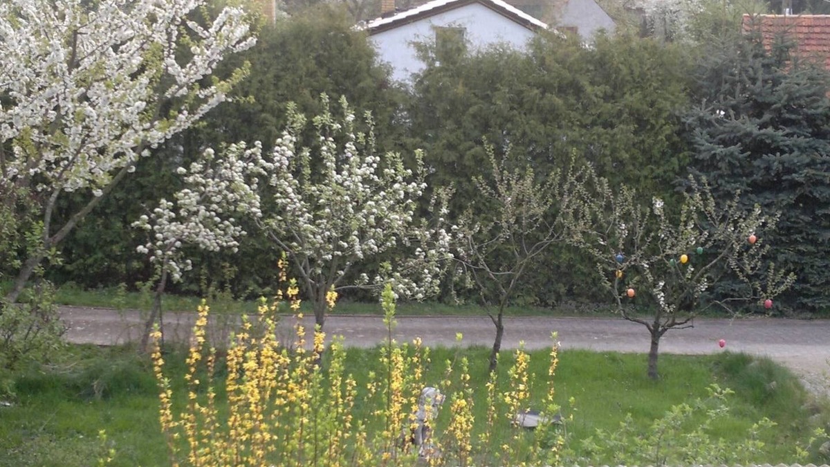 Gahro House | Restaurant Pension Lubusch Gahro