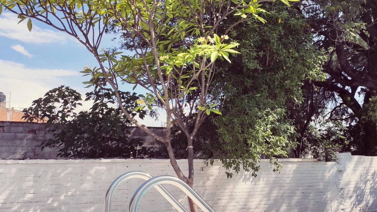 Ciudad Fernandez House | Resting house with pool! near the Media Luna Spring