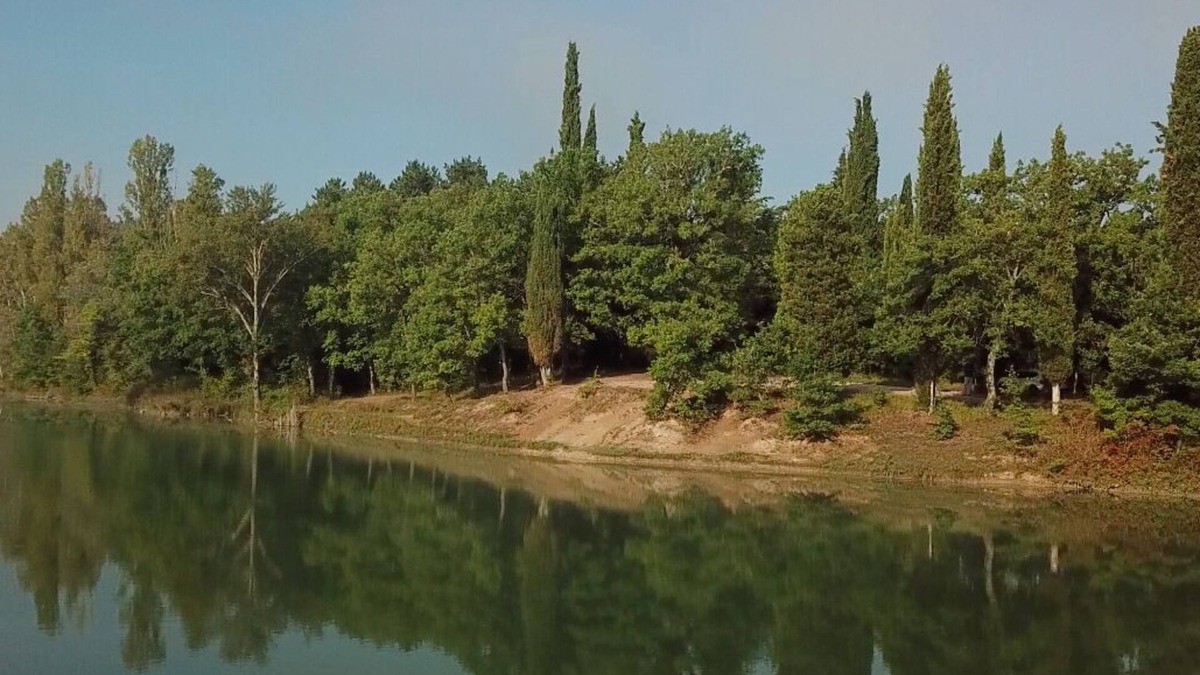 Ponte d'Assi House | Retino - Ivy - Mini apartment immersed in the greenery of the Tenuta di Fassia