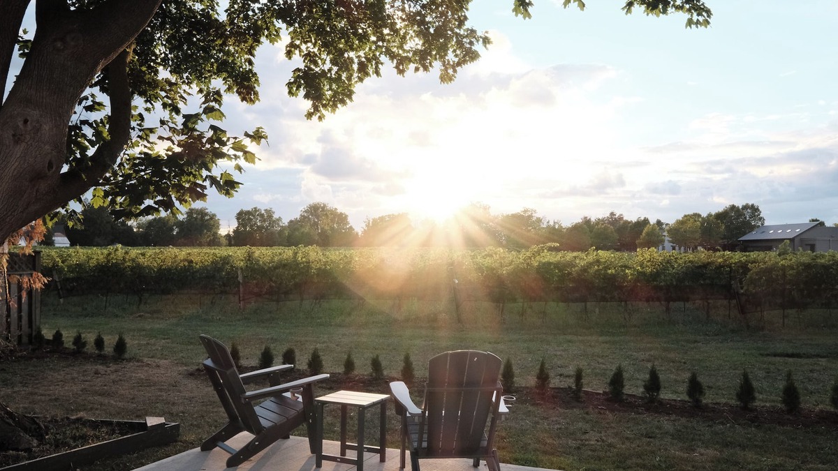 St. Davids House | Retreat by the Vineyard |Panoramic Sauna |Hot Tub |EV Charger