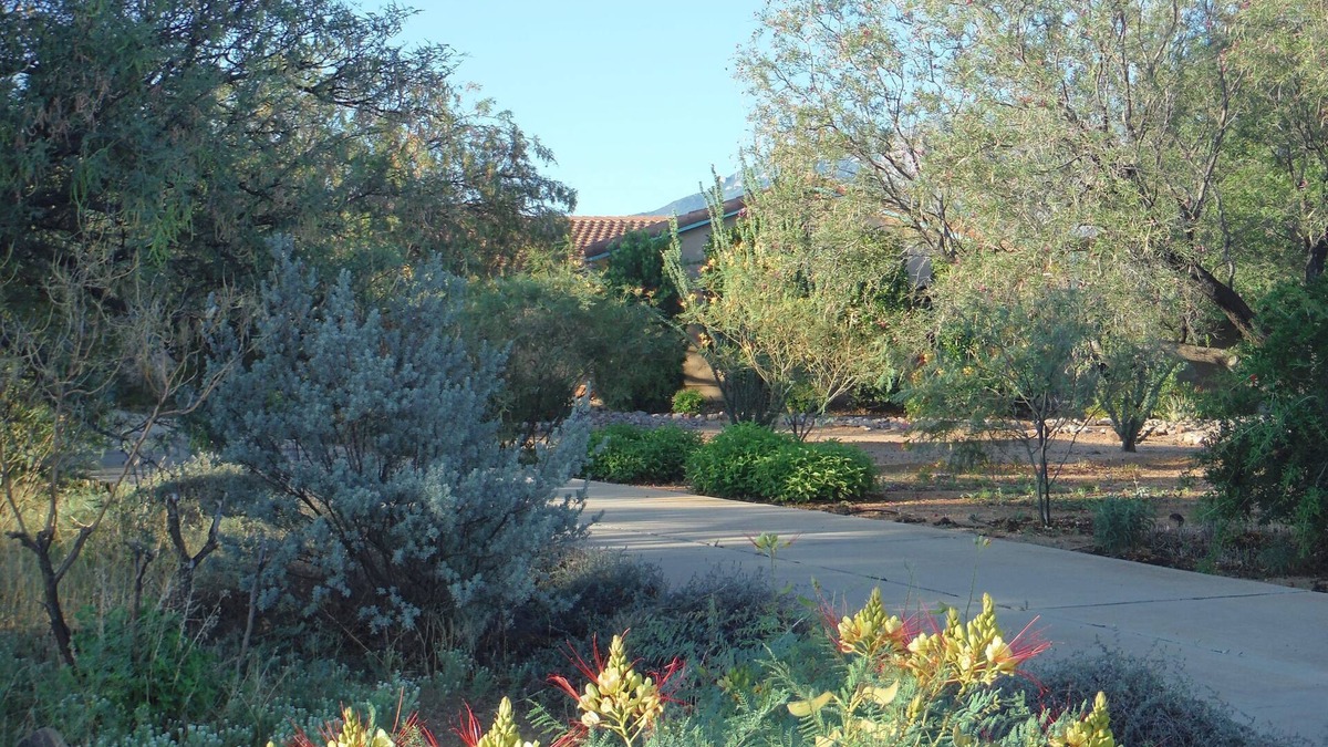 Sierra Vista Southeast House | Retreat to Wiggle Your Toes – A Private Healing Villa and Zen Escape