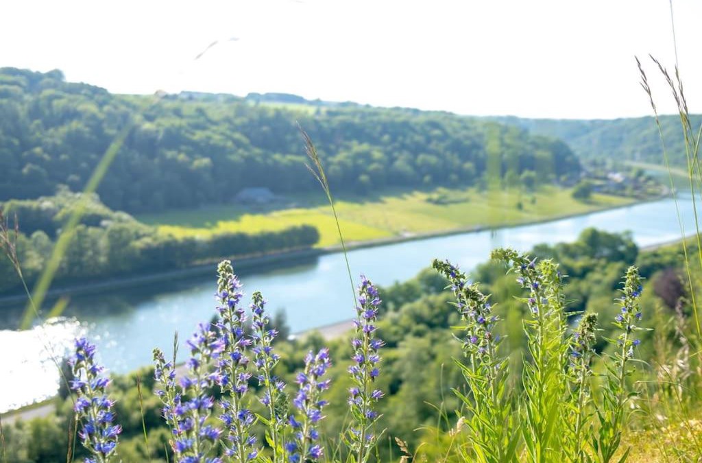 Waulsort Apartment | Retro getaway at the Meuse valley