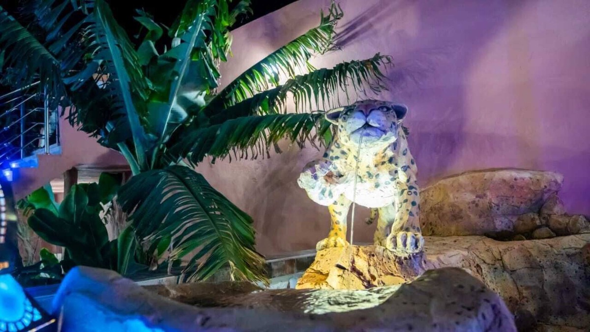 Agadir House | Riad dar salam