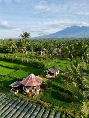 Tetebatu House | Rice Field inn - Lombok