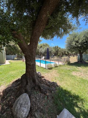 Carpinteria House | "Rincón de Olivos" Alojamiento entero en complejo con piscina