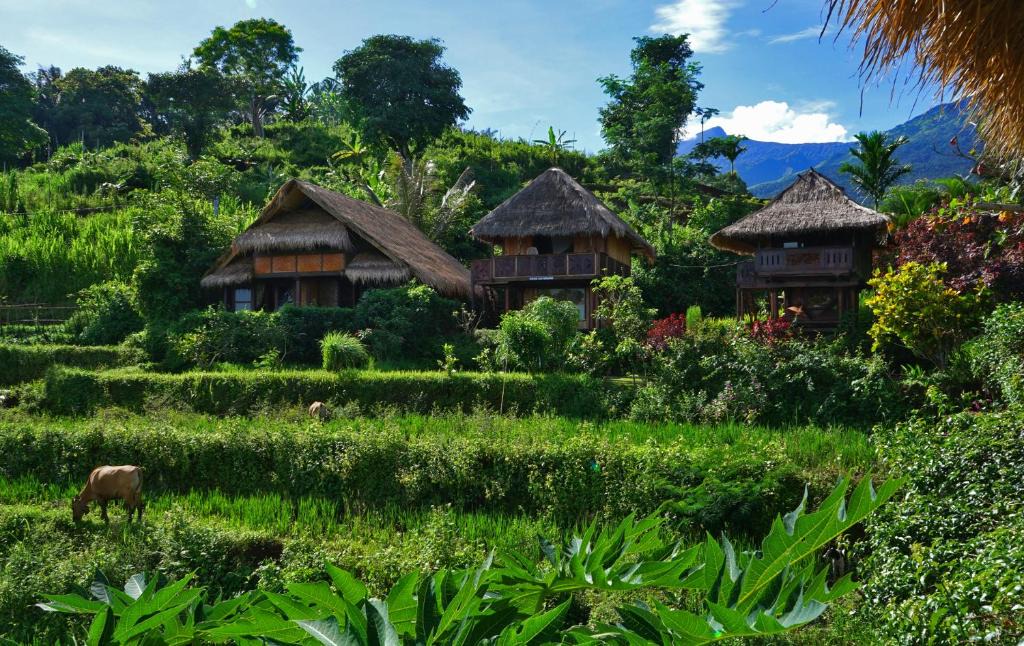 Bayan Resort | Rinjani Mountain Garden
