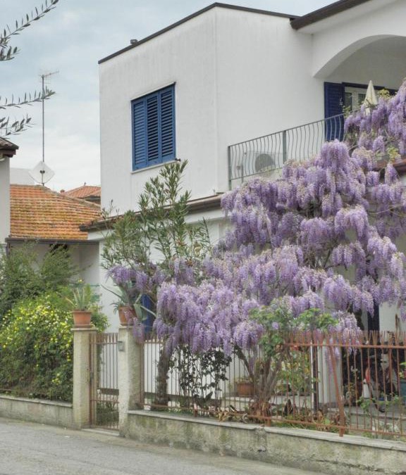 Giulianova Apartment | RITA'S ROOM ON THE SEA